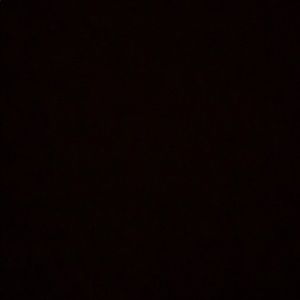 Meet your Posher, Marlon